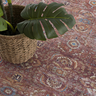 Traditional Rug